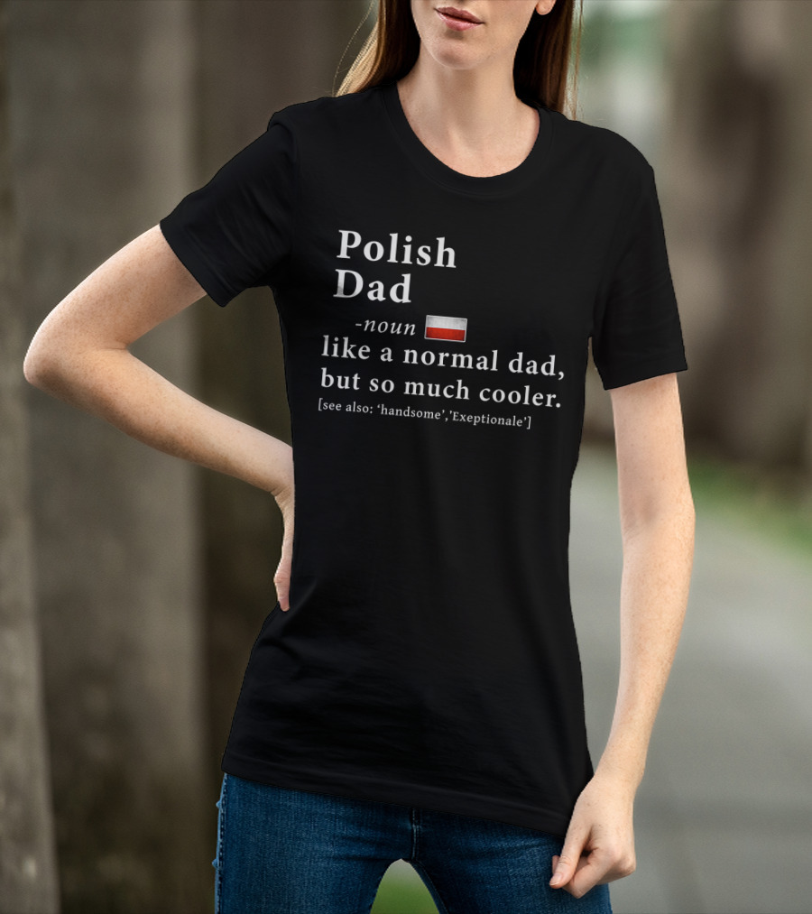 Polish Dad Noun Like A Normal Dad But So Much Cooler Handsome Exceptionale Polish Flag T-Shirt