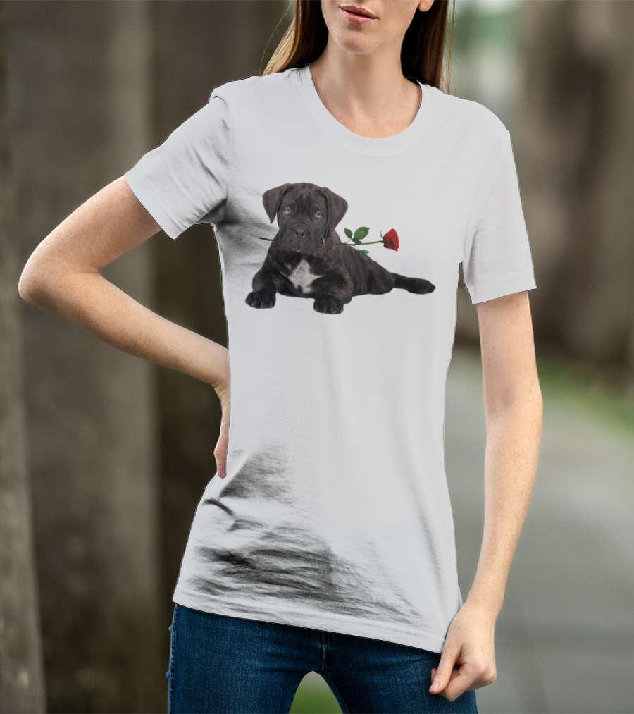 Cane Corso Puppy With A Red Rose In Mouth T-Shirt