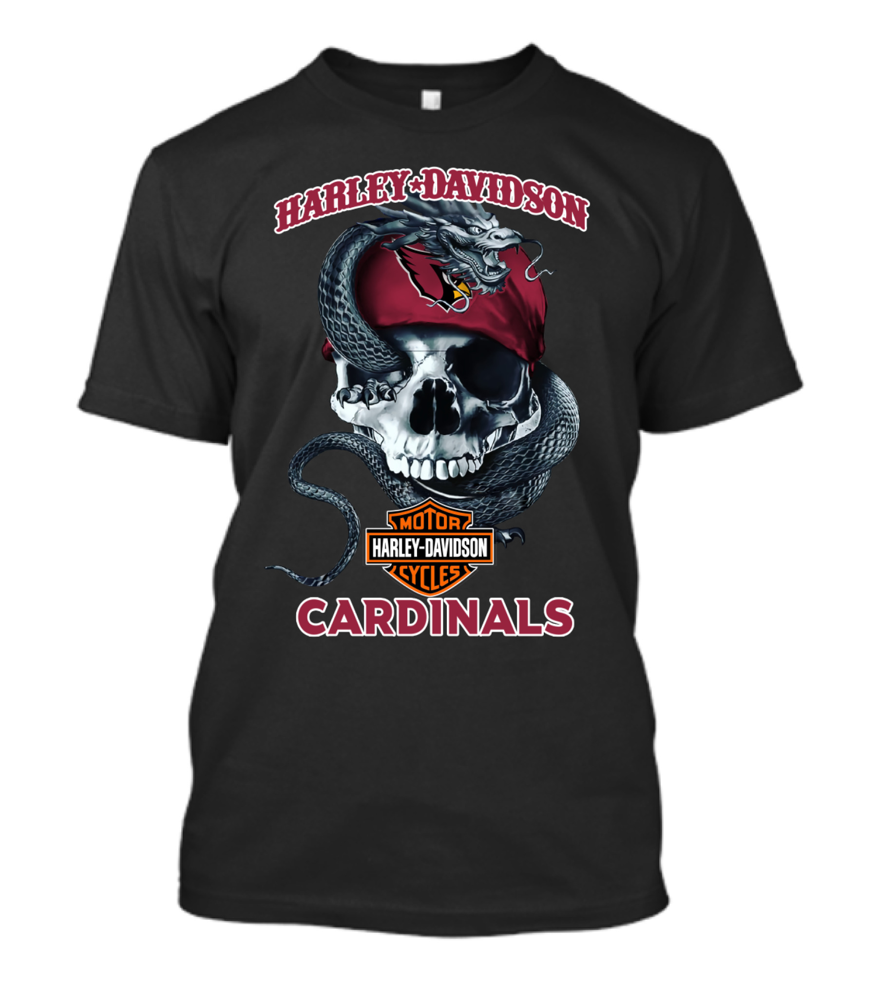 Harley Davidson Motorcycles Arizona Cardinals Skull Snake T-Shirt