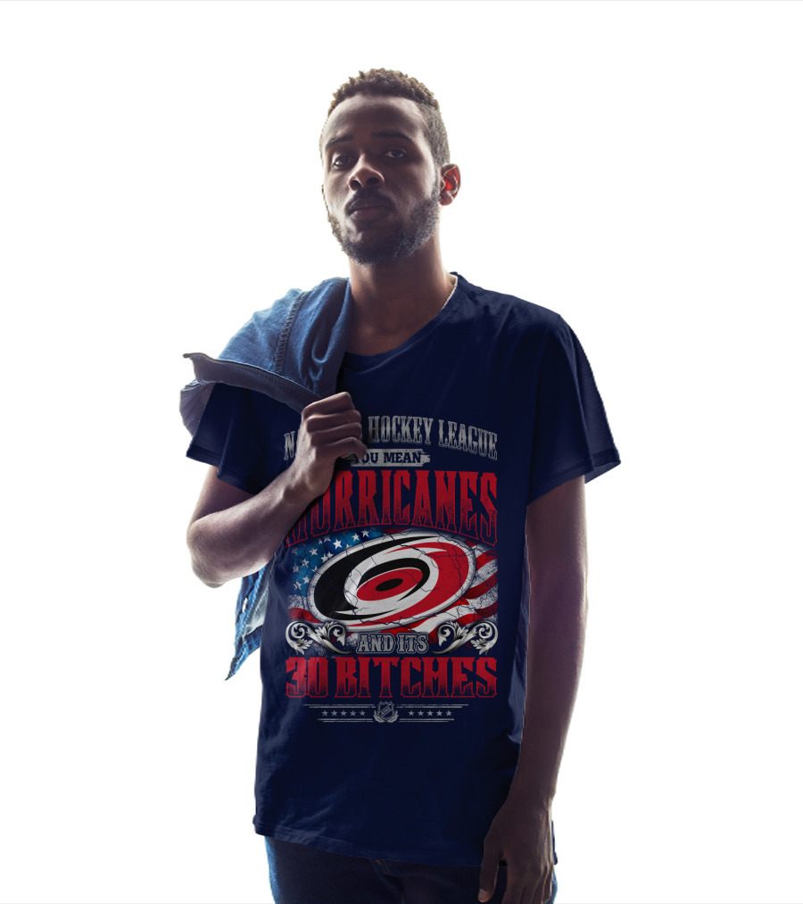 National Hockey League You Mean Hurricanes And Its 30 Bitches T-Shirt