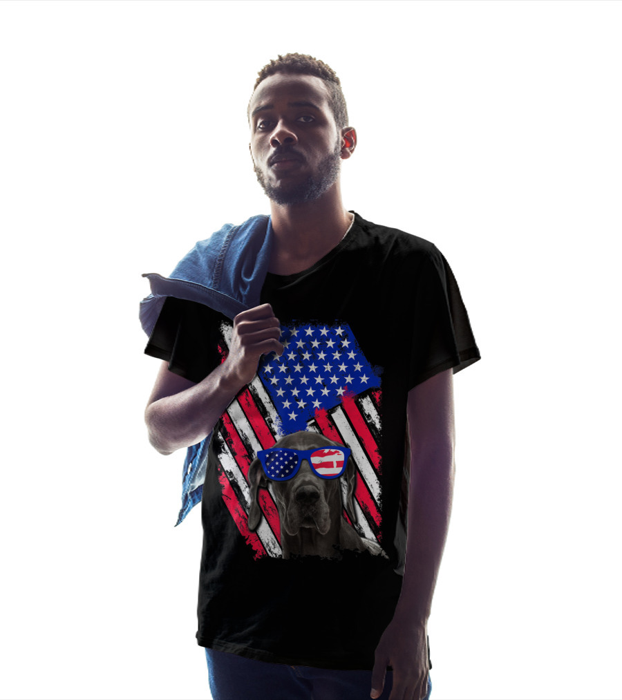Vintage Distressed Great Dane With American USA Flag Sunglasses T-Shirt