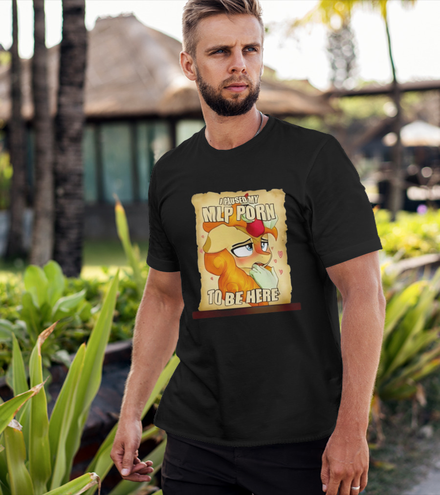 I Paused My MLP Porn To Be Here My Little Pony T-Shirt