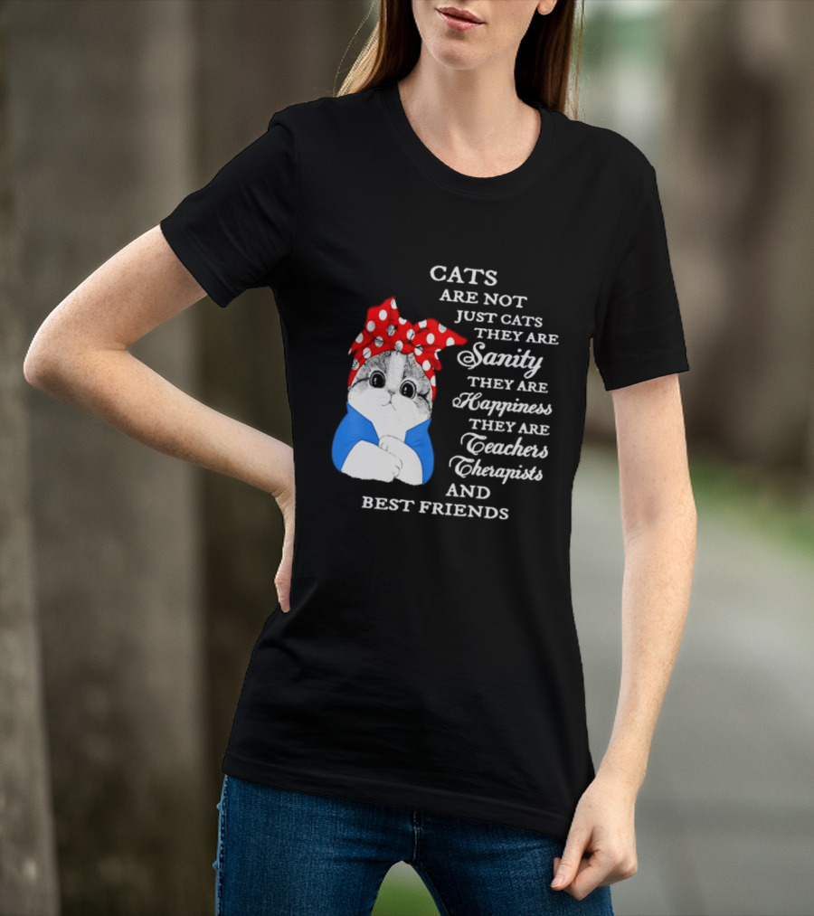 Cats Are Not Just Cats They Are Sanity Happiness Teachers Therapists Best Friends T-Shirt
