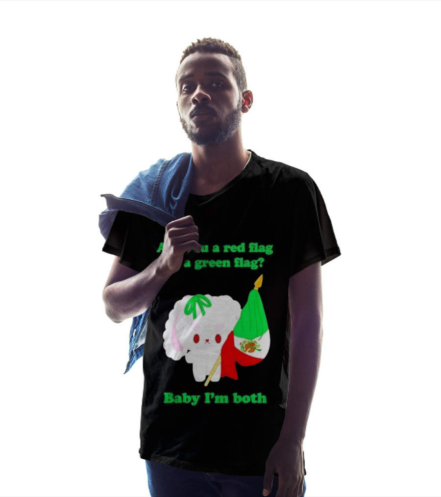 Nonomochi Mexico Flag Are You A Red Flag Or A Green Flag Cute Bunny Holding Mexican Flag T-Shirt