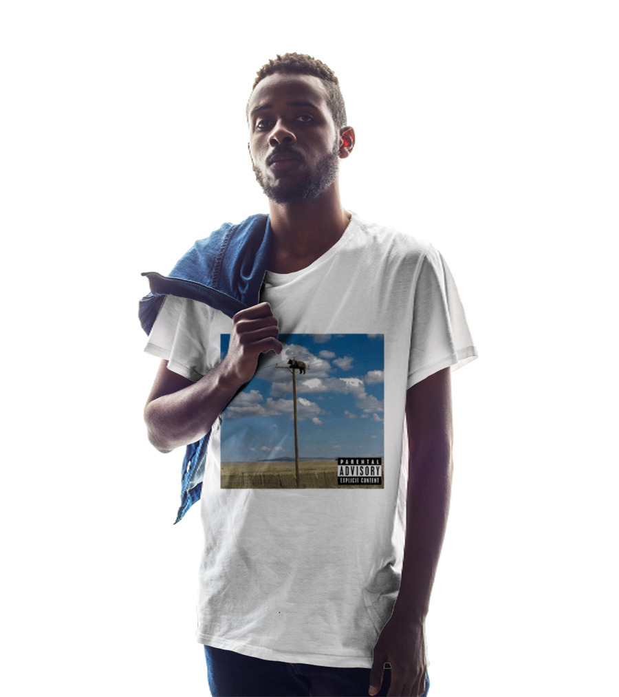 Bear On Top Of The Light Pole Parental Advisory Explicit Content Clouds Sky T-Shirt
