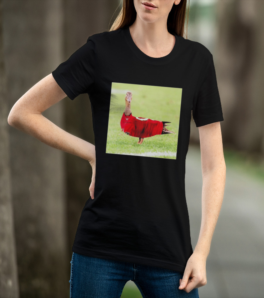 Tampa Bay Buccaneers Duck 2026 Football Fan T-Shirt