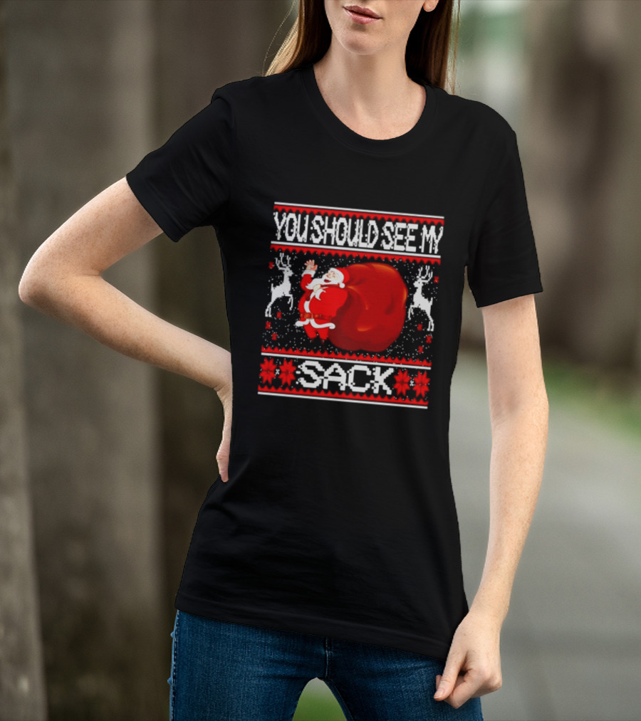 You Should See My Sack Santa Claus Ugly Christmas Reindeer Snowflakes T-Shirt