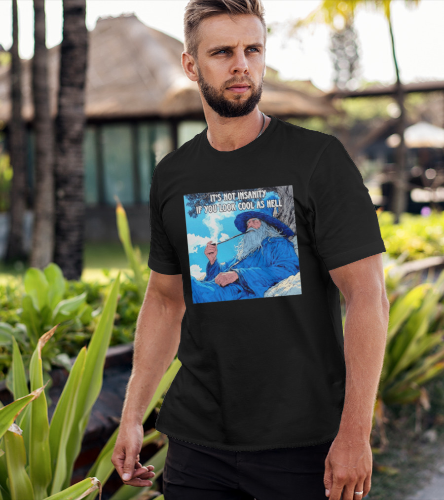 It's Not Insanity If You Look Cool As Hell Wizard Smoking Pipe T-Shirt