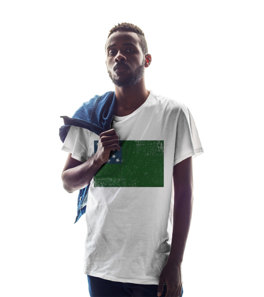 Vermont Historical Green Mountain Boys Flag Distressed T-Shirt