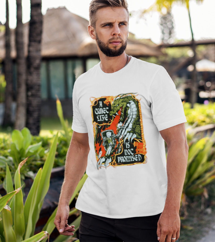 A Quiet Life Is Not Promised Dragon Knight Vintage Fantasy Adventure Scene T-Shirt