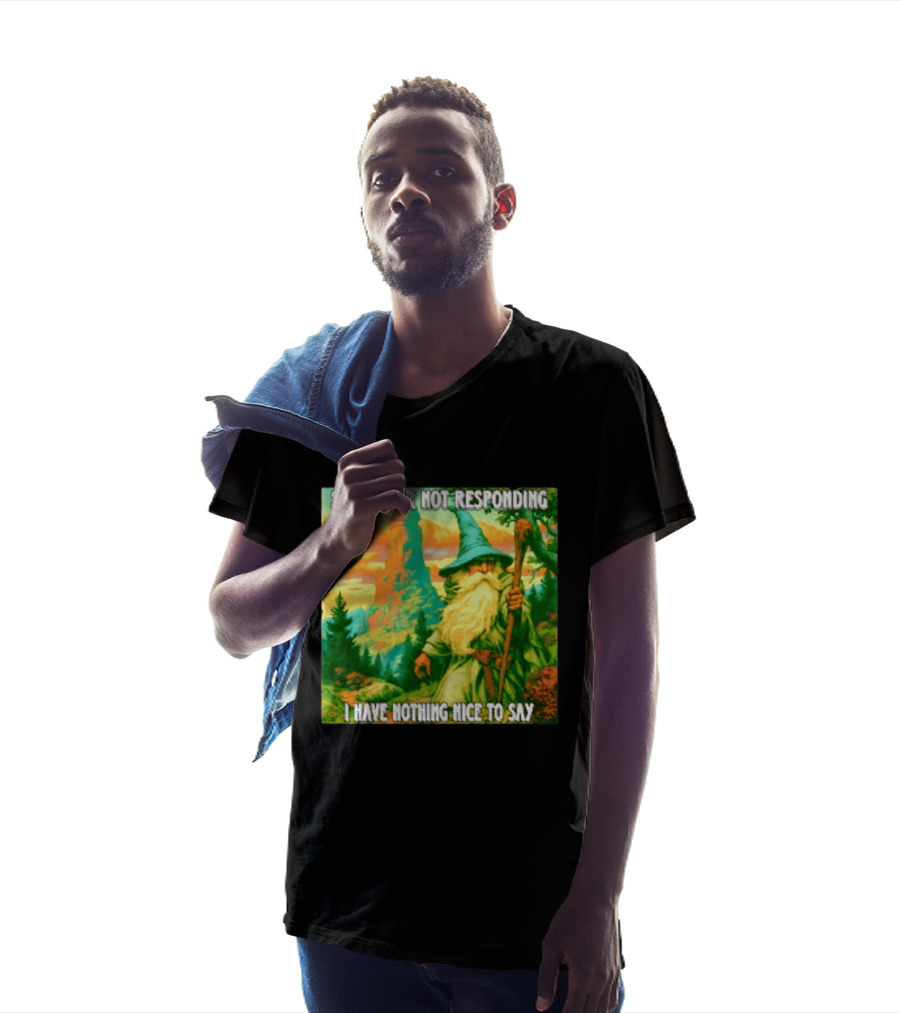 Sorry For Not Responding I Have Nothing Nice To Say Wizard Scene T-Shirt
