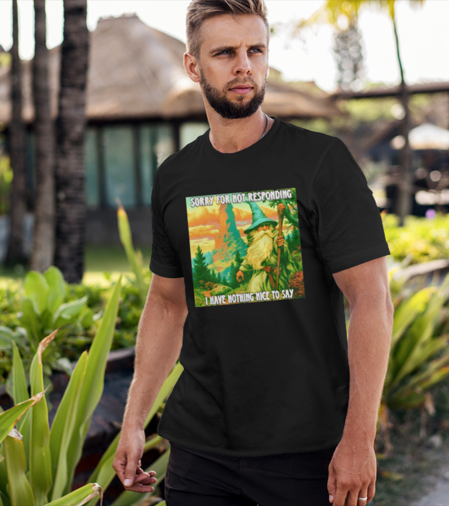 Sorry For Not Responding I Have Nothing Nice To Say Wizard Scene T-Shirt