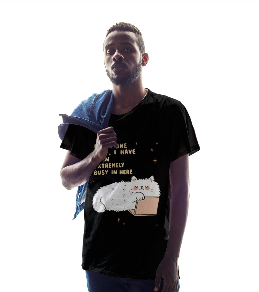 If Anyone Asks I Have Been Extremely Busy In Here Fluffy White Cat In Box T-Shirt