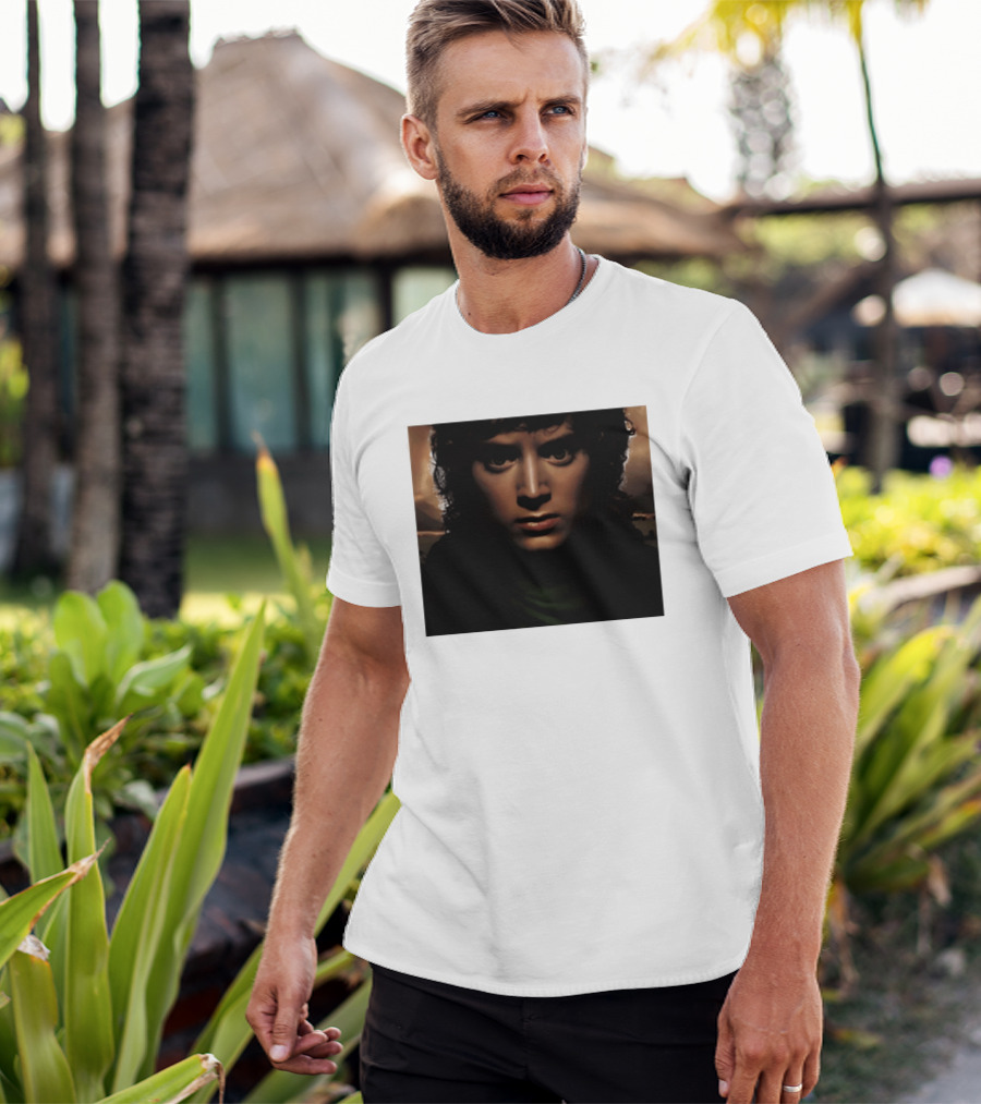 Frodo Baggins The Lord Of The Rings T-Shirt
