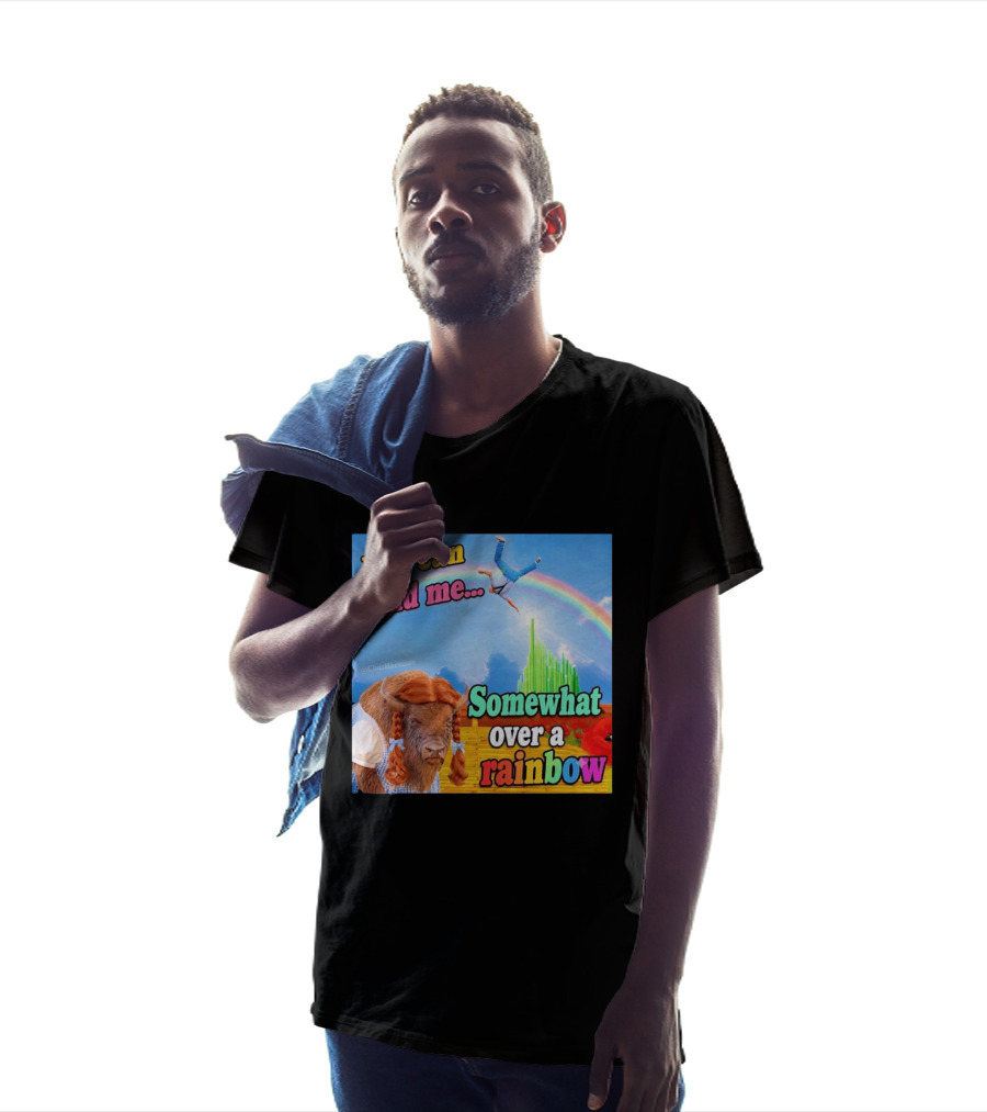 You Can Find Me Somewhat Over A Rainbow Bison Meme T-Shirt