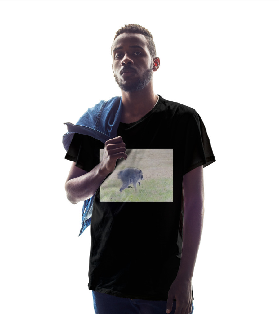 Jimothy Raccoon Walking In Grassy Field Wildlife Scene T-Shirt