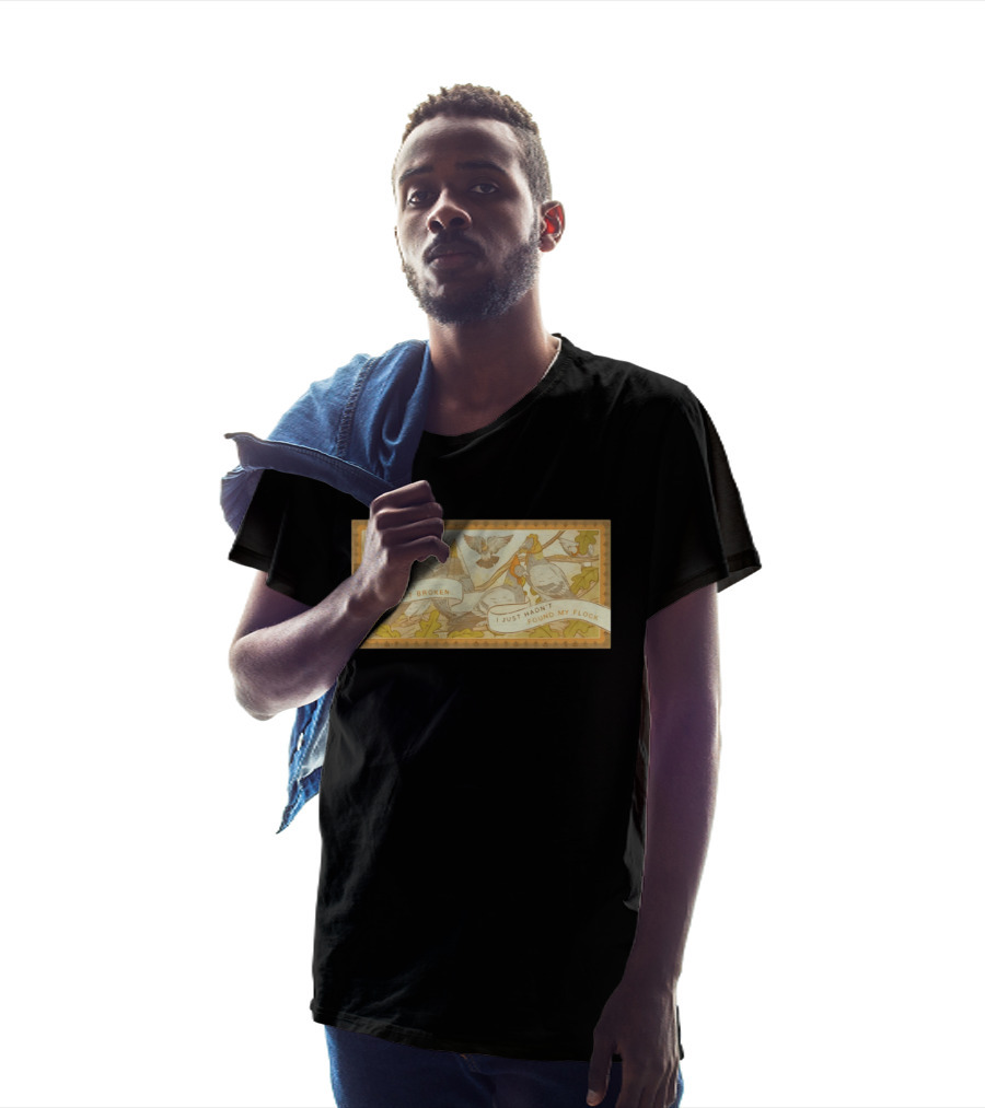 Turns Out I Wasn't Broken I Just Hadn't Found My Flock Pigeon Funny Vintage Style Banner With Autumn Leaves T-Shirt