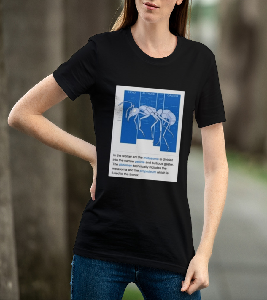 Head Alitrunk Gaster Metasoma Petiole Anatomy Of An Ant T-Shirt