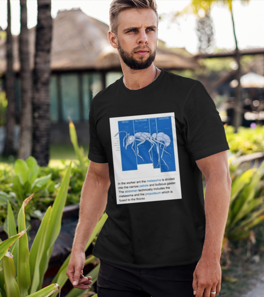 Head Alitrunk Gaster Metasoma Petiole Anatomy Of An Ant T-Shirt
