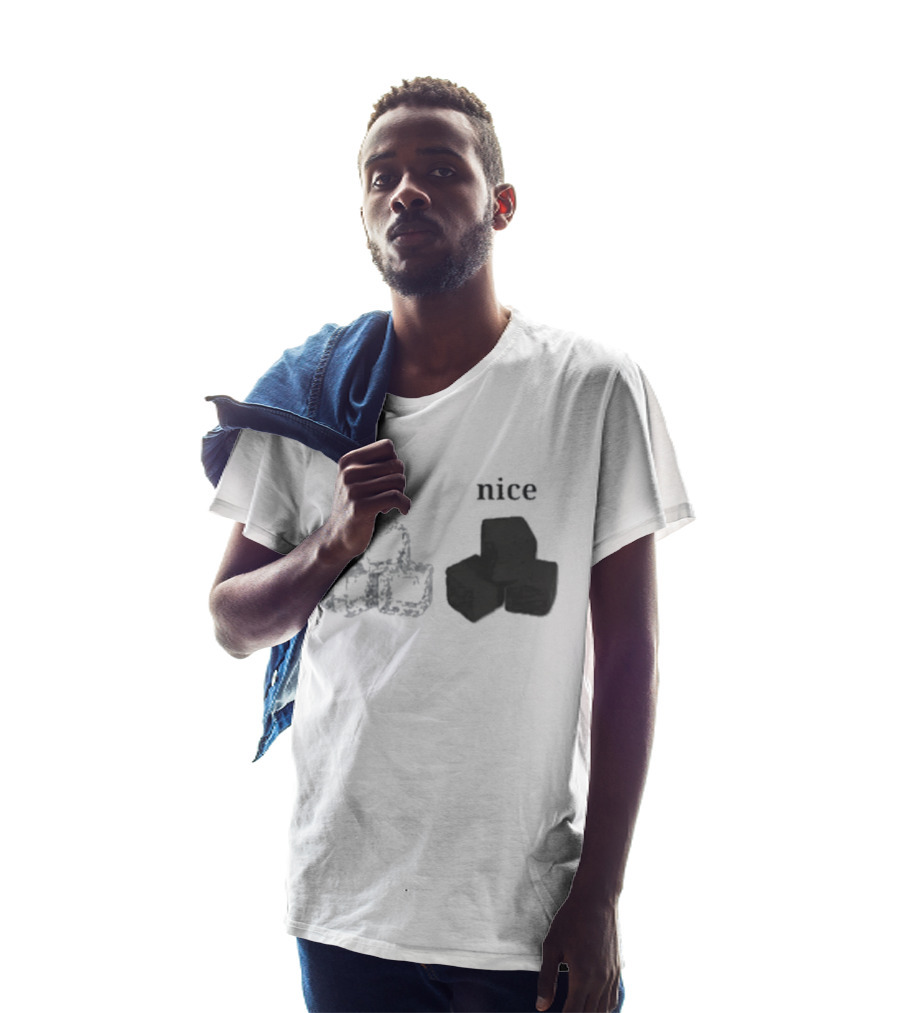 Ice Vs Nice Cubes Playful Word T-Shirt