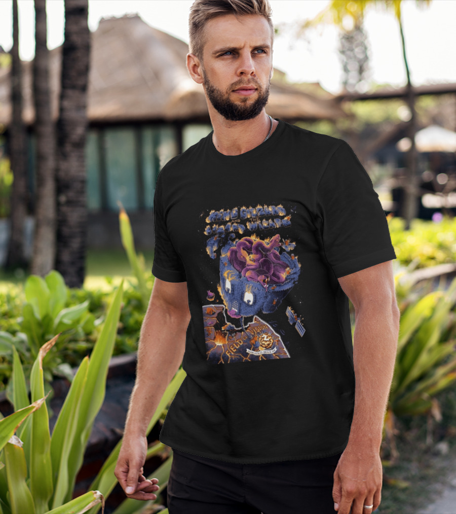 King Gizzard & The Lizard Wizard Field Of Vision Buena Vista CO August 14 16 2026 T-Shirt