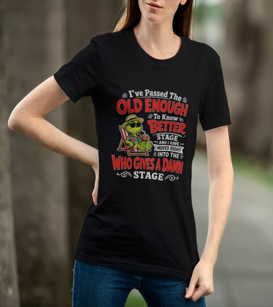 Grinch I've Passed The Old Enough To Know Better Stage Moved Right Into The Who Gives A Damn Stage T-Shirt