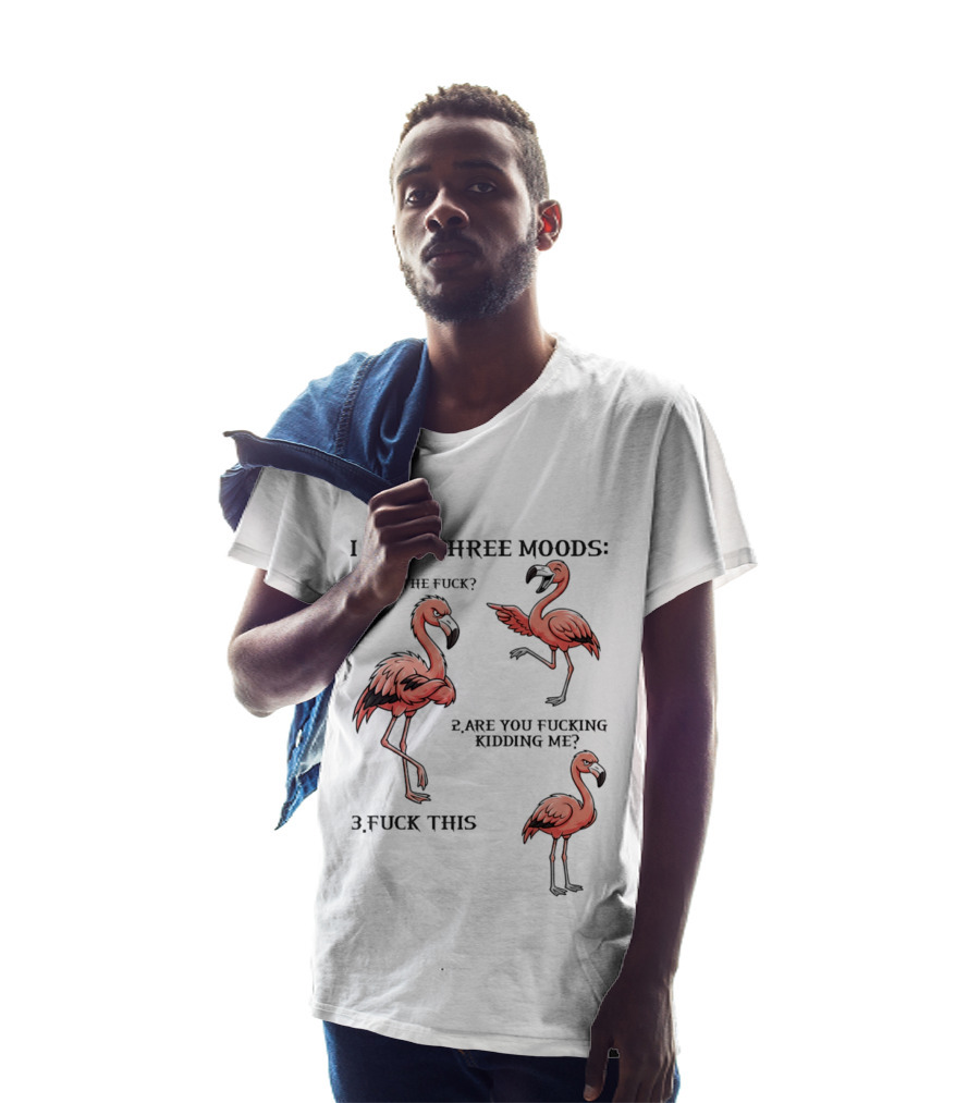 I Have Three Moods What The Fuck Are You Fucking Kidding Me Fuck This Flamingo T-Shirt