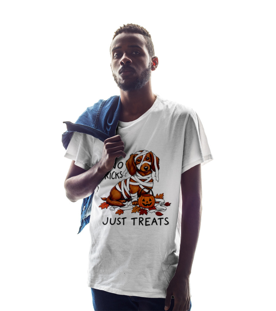 No Tricks Just Treats Dachshund Mummy Halloween Pumpkin Dog T-Shirt