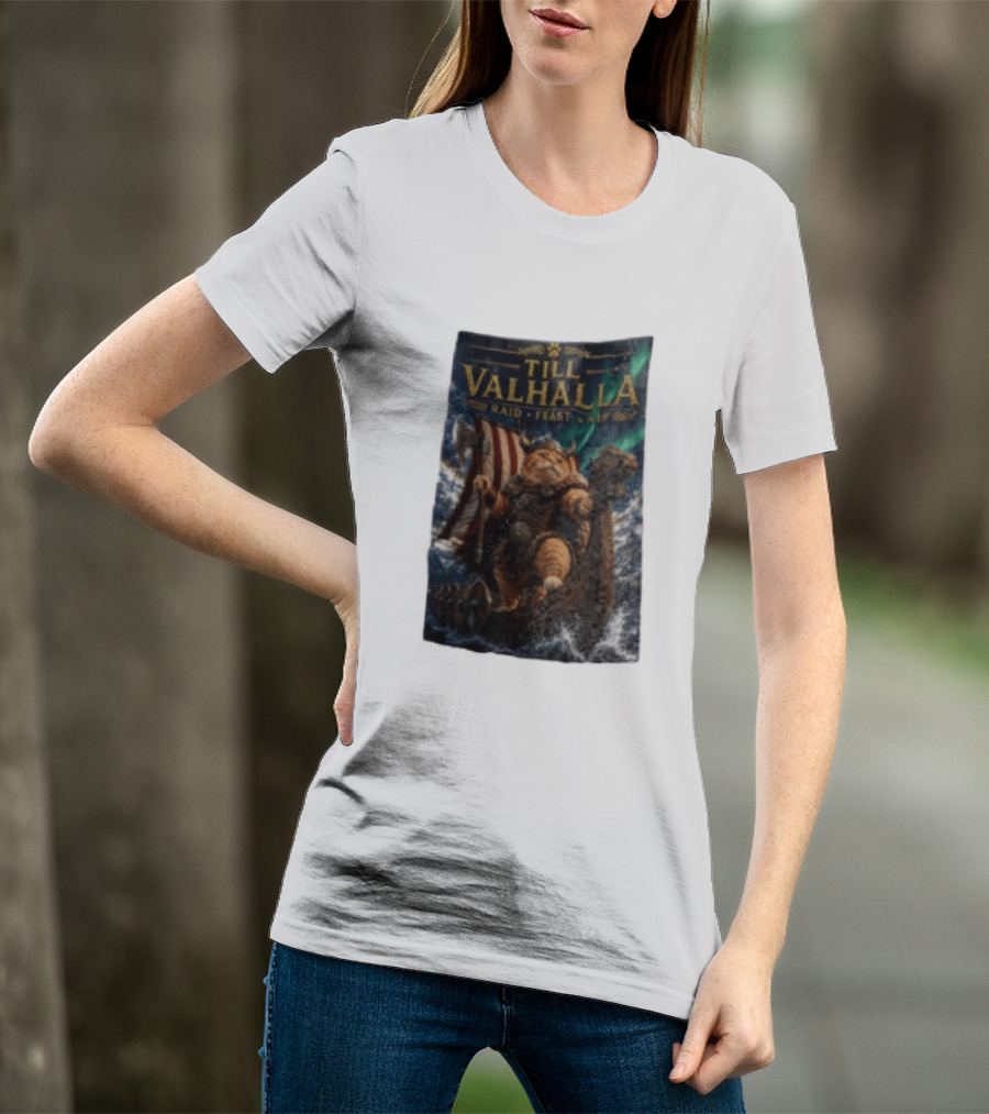 Till Valhalla Raid Feast Nap Viking Cat On Longship With Northern Lights T-Shirt