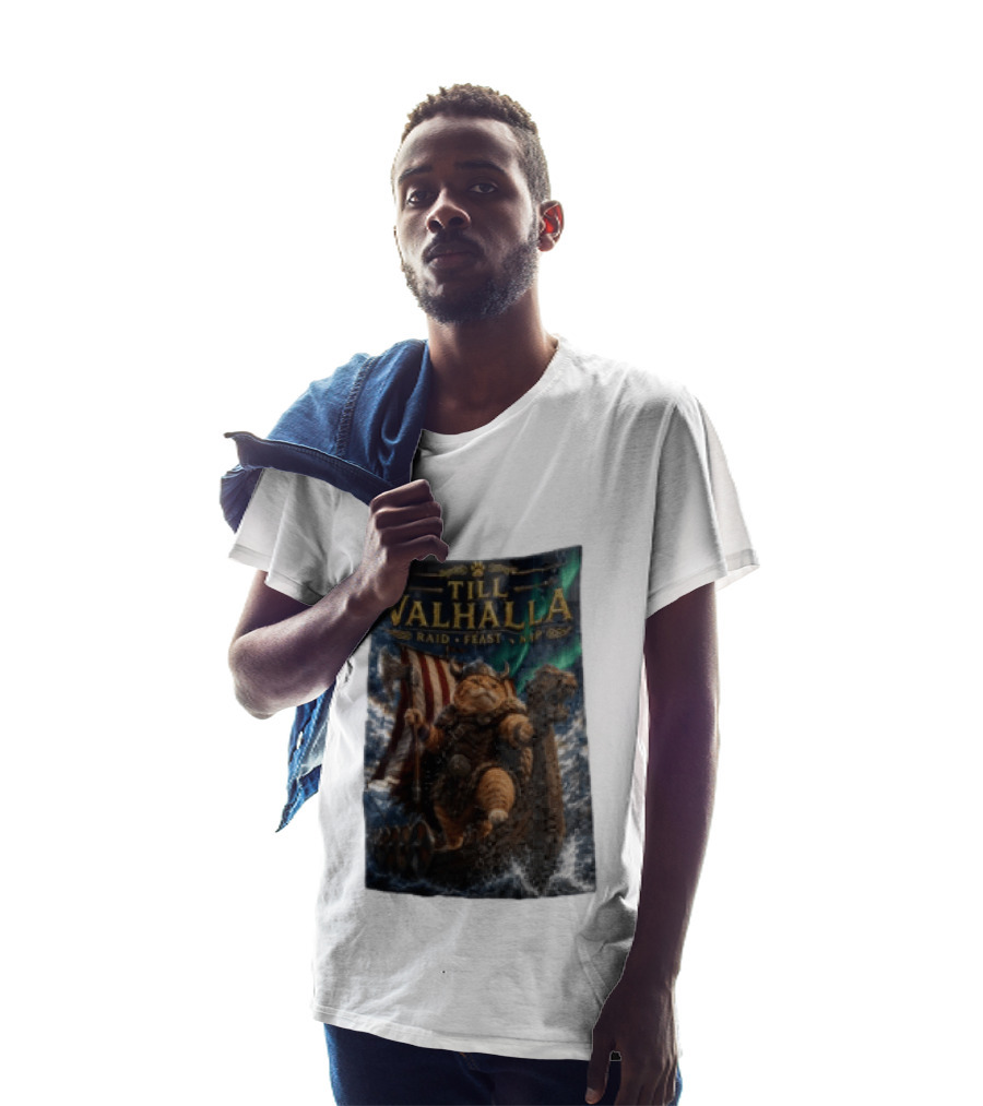 Till Valhalla Raid Feast Nap Viking Cat On Longship With Northern Lights T-Shirt