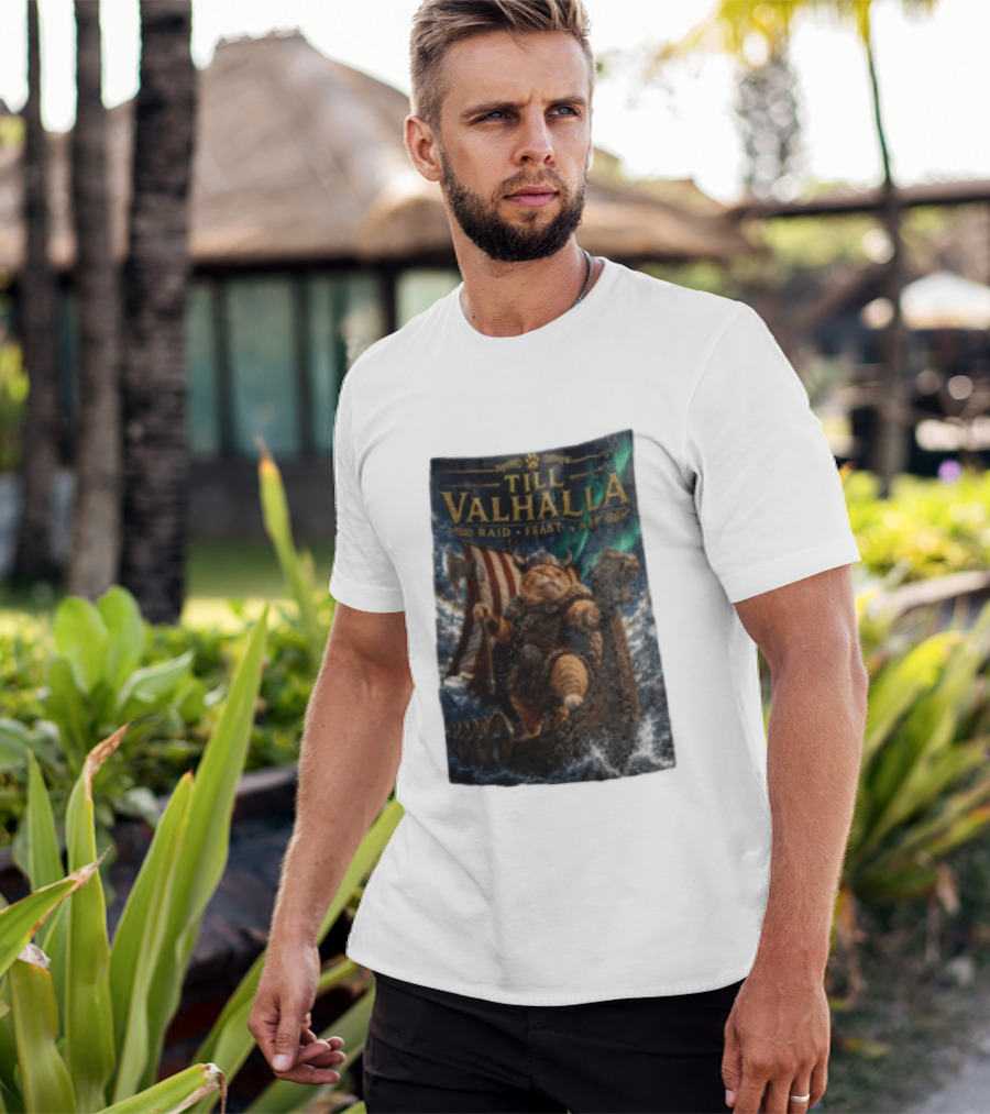 Till Valhalla Raid Feast Nap Viking Cat On Longship With Northern Lights T-Shirt