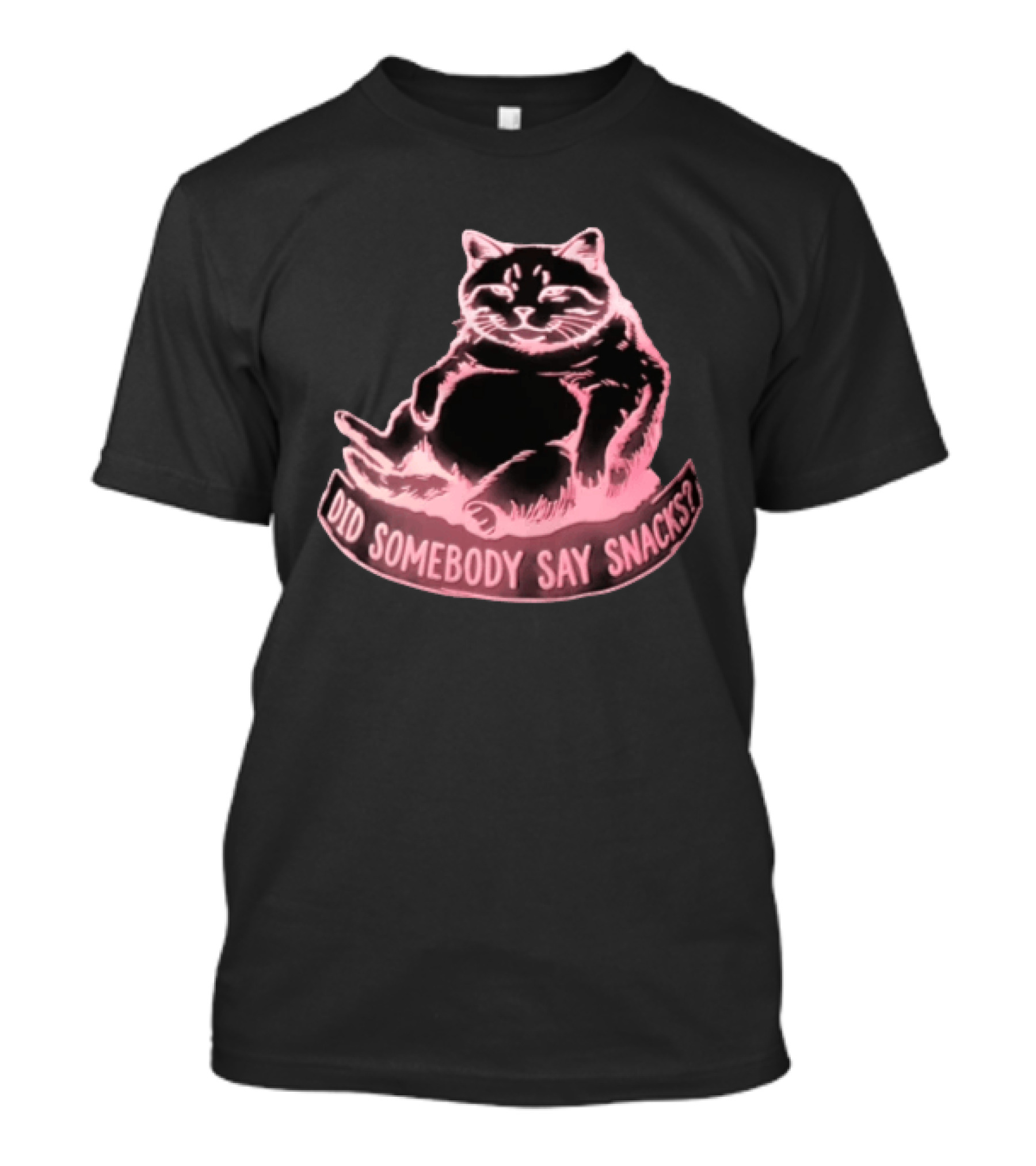 Did Somebody Say Snacks Fat Cat Neon Sitting T-Shirt