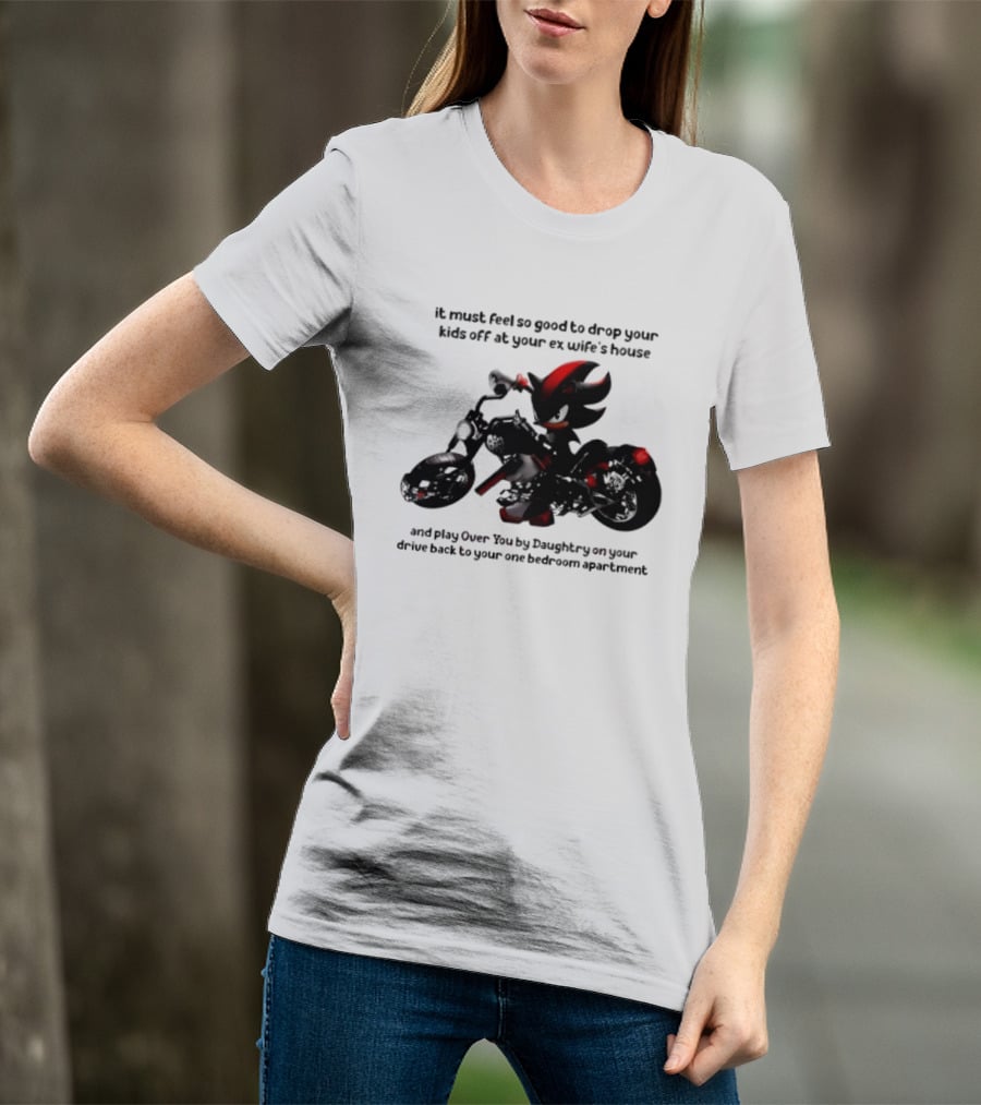 Shadow The Hedgehog Meme It Must Feel So Good To Drop Your Kids Off At Your Ex Wife's House And Play Over You By Daughtry T-Shirt