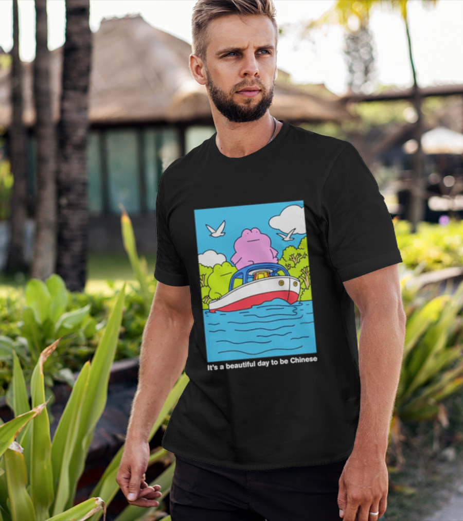It's A Beautiful Day To Be Chinese Frog On A Boat T-Shirt
