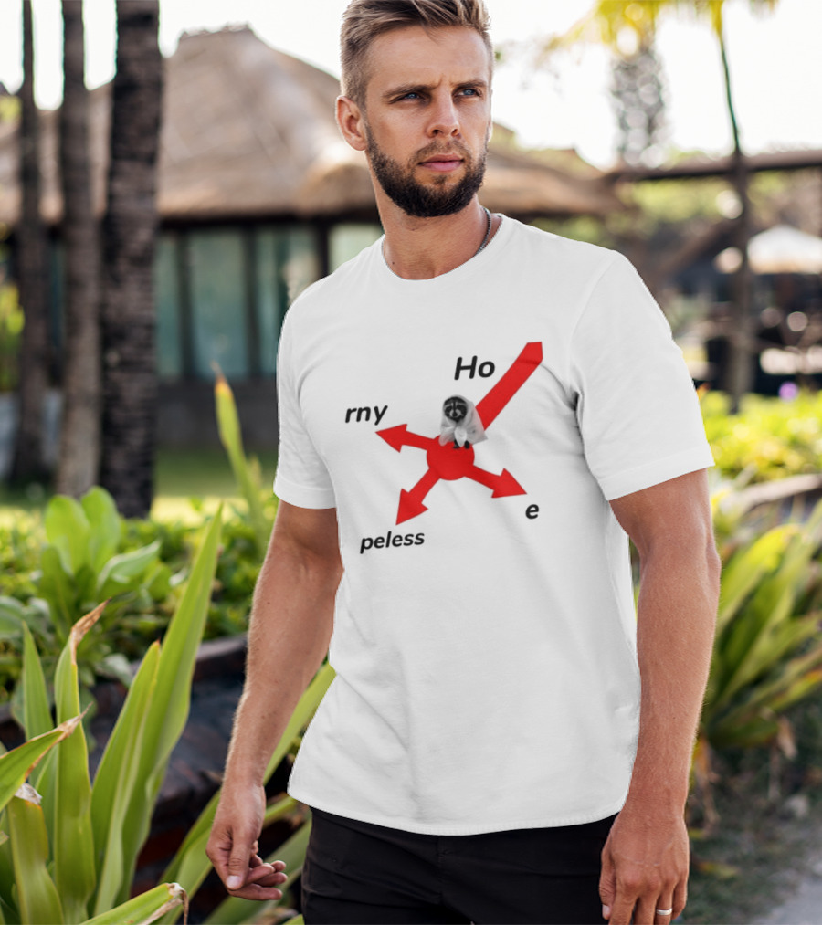 Raccoon Meme Ho Rny Peless Compass T-Shirt