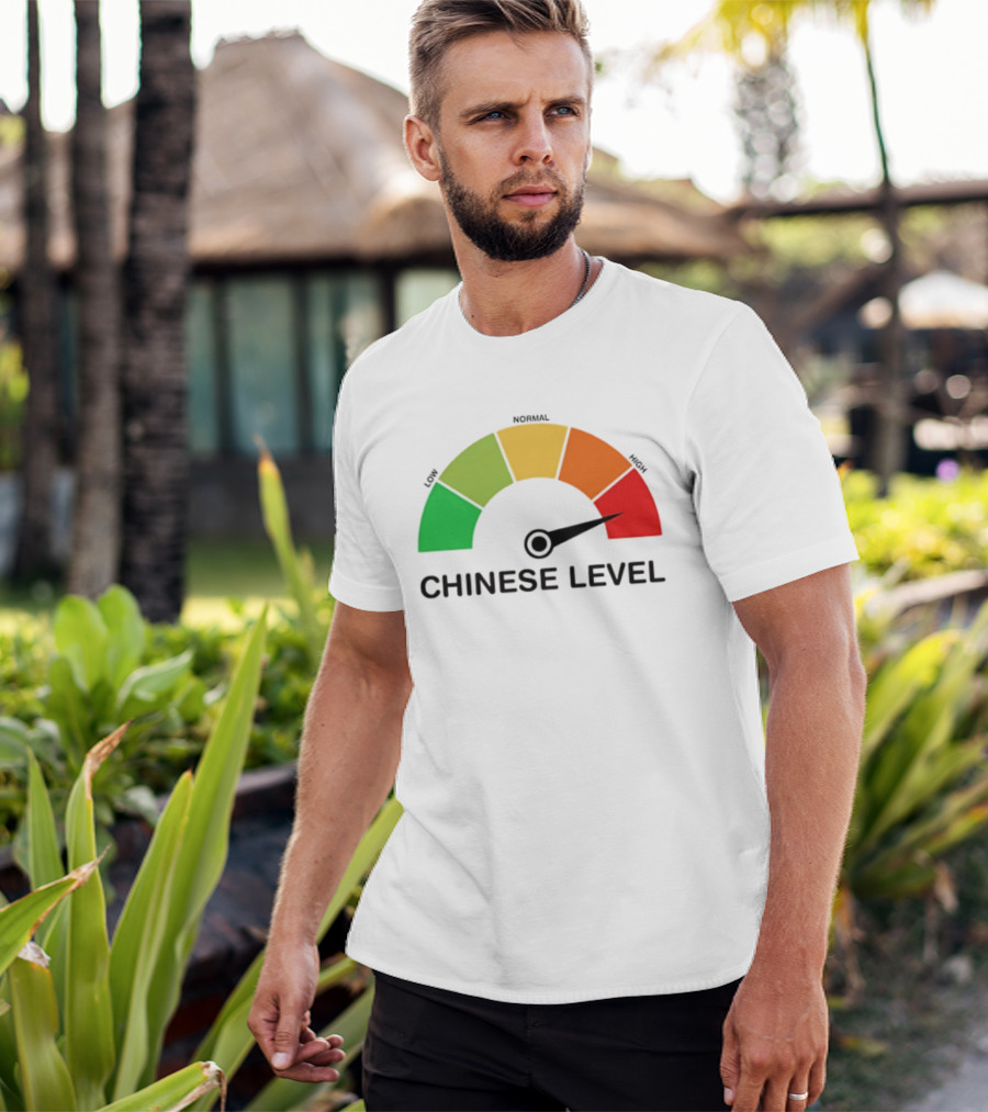 Chinese Level Meter Low Normal High Gauge T-Shirt
