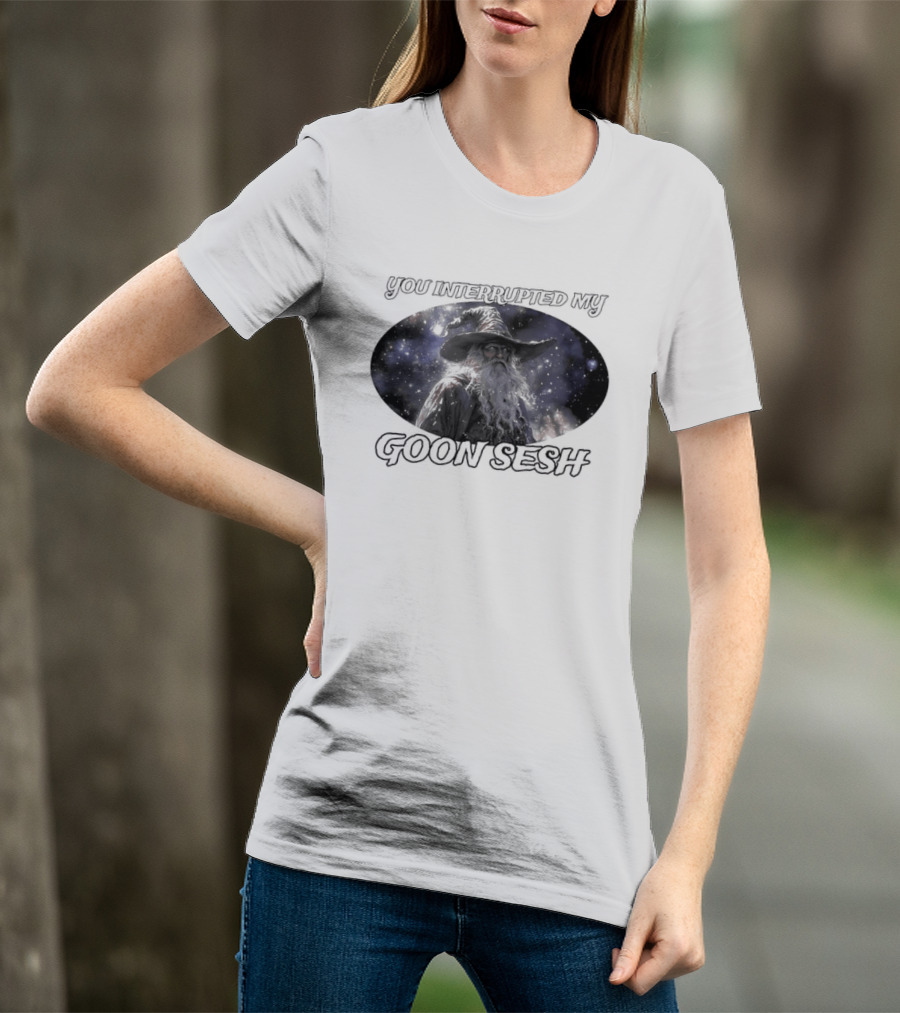 You Interrupted My Goon Sesh Wizard T-Shirt