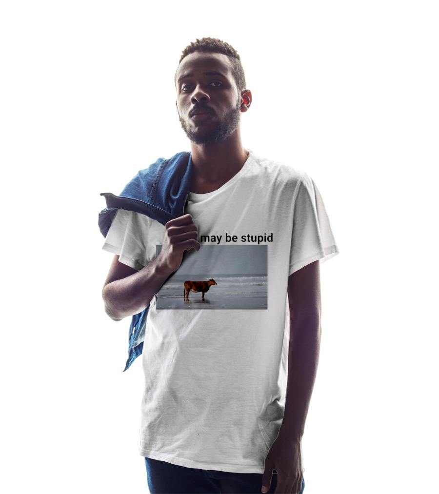 I May Be Stupid Cow At The Beach T-Shirt