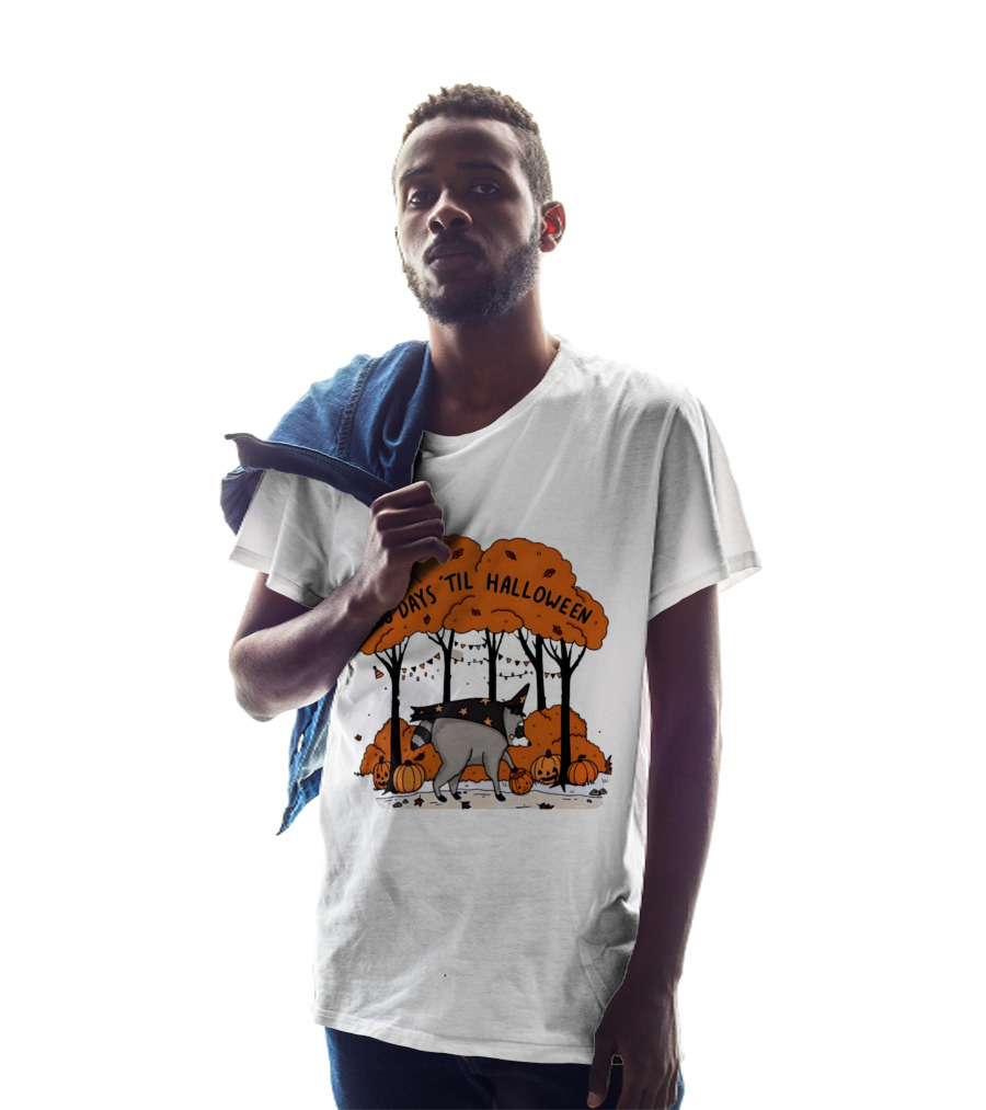 100 Days 'til Halloween Raccoon Wizard Costume In Pumpkin Patch Forest T-Shirt