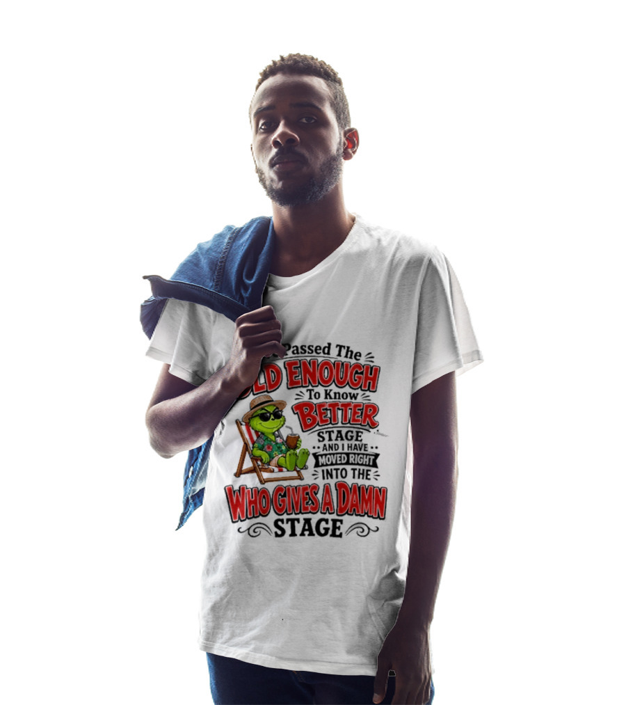 I've Passed Into The Grinch Old Enough To Know Better Who Gives A Damn Stage T-Shirt