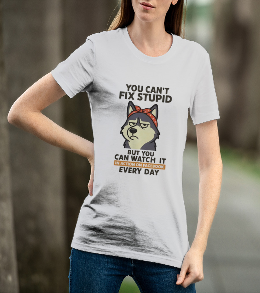 You Can't Fix Stupid But You Can It Every Day Husky T-Shirt