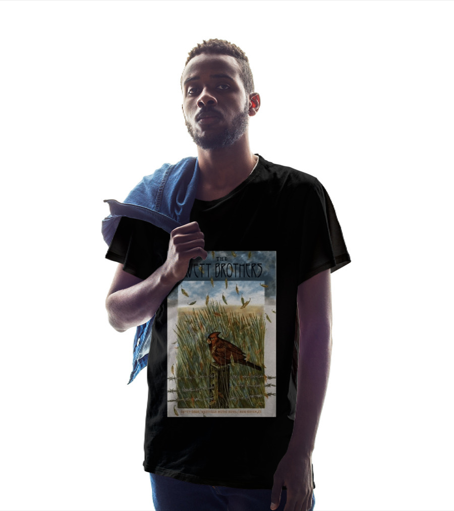 The Avett Brothers Westville Music Bowl New Haven CT Sep 17 2026 Cardinal In Field T-Shirt