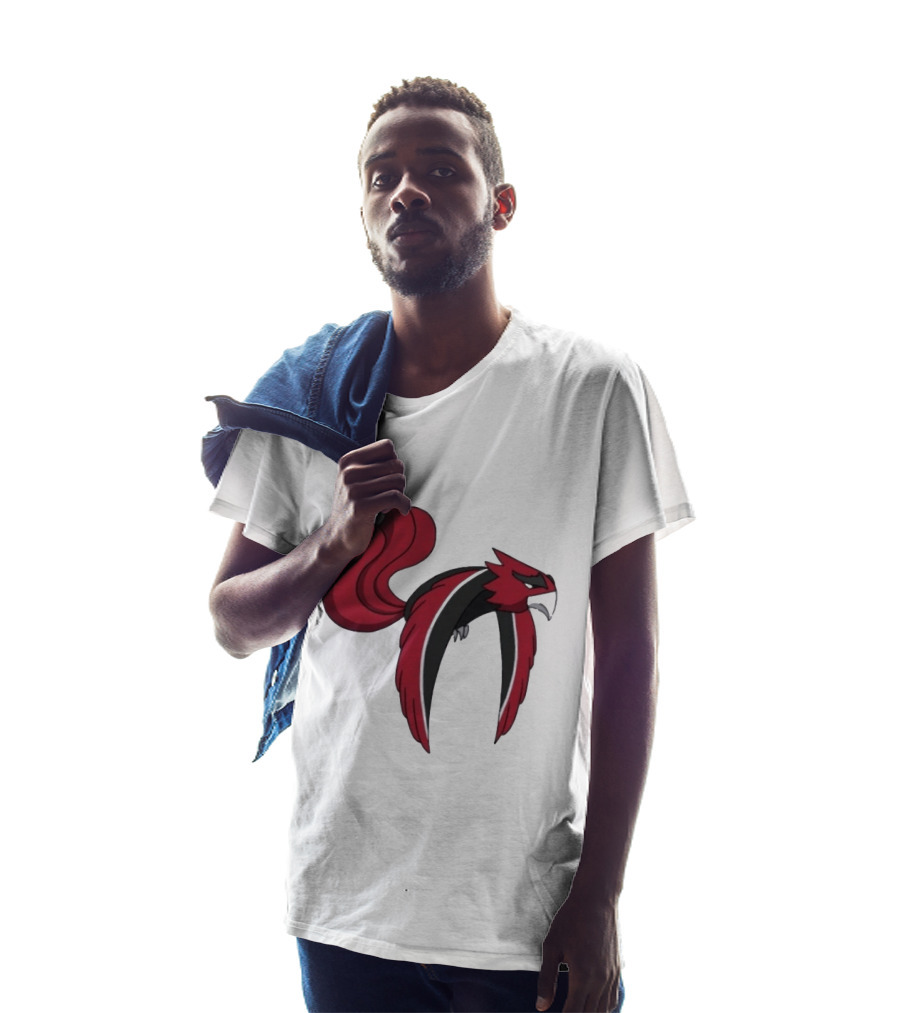 Atlanta Falcons Pokemon Mashup Bird T-Shirt