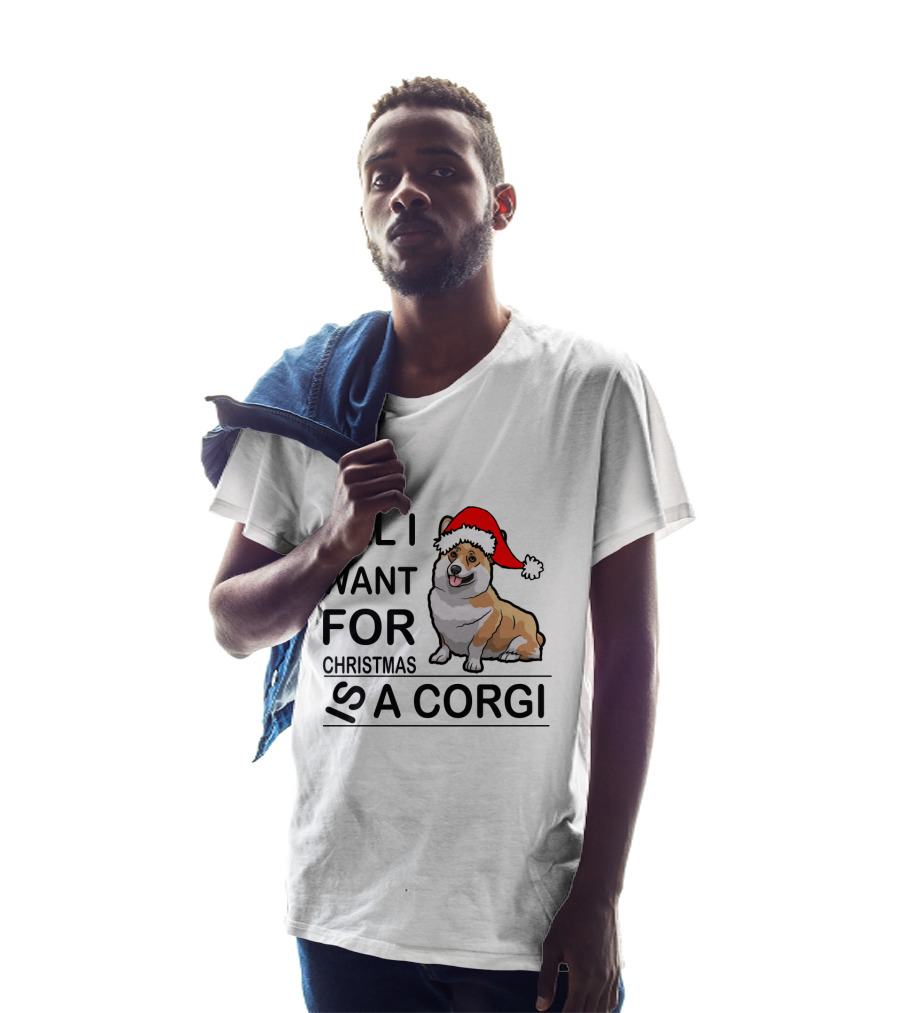 All I Want For Christmas Is A Corgi With Santa Hat T-Shirt
