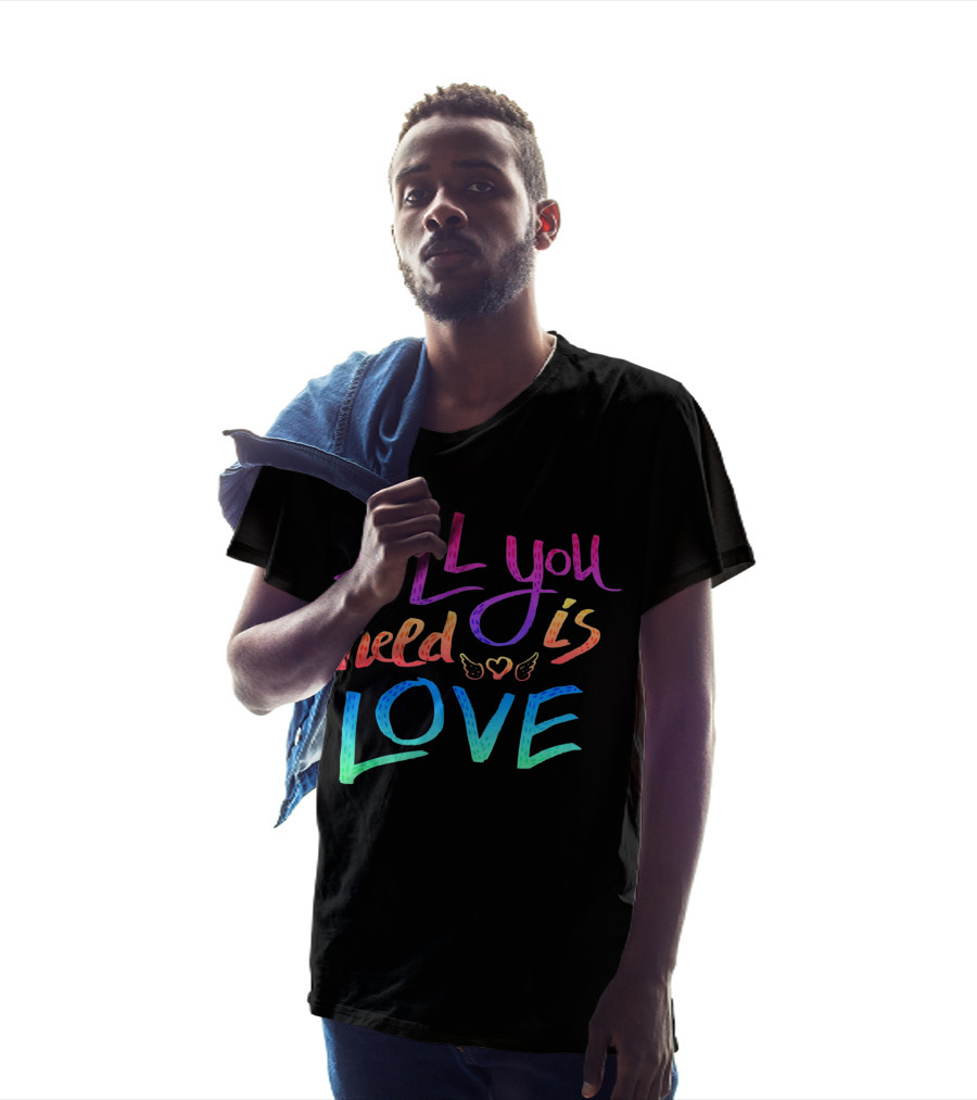 All You Need Is Love Rainbow Wings Heart T-Shirt