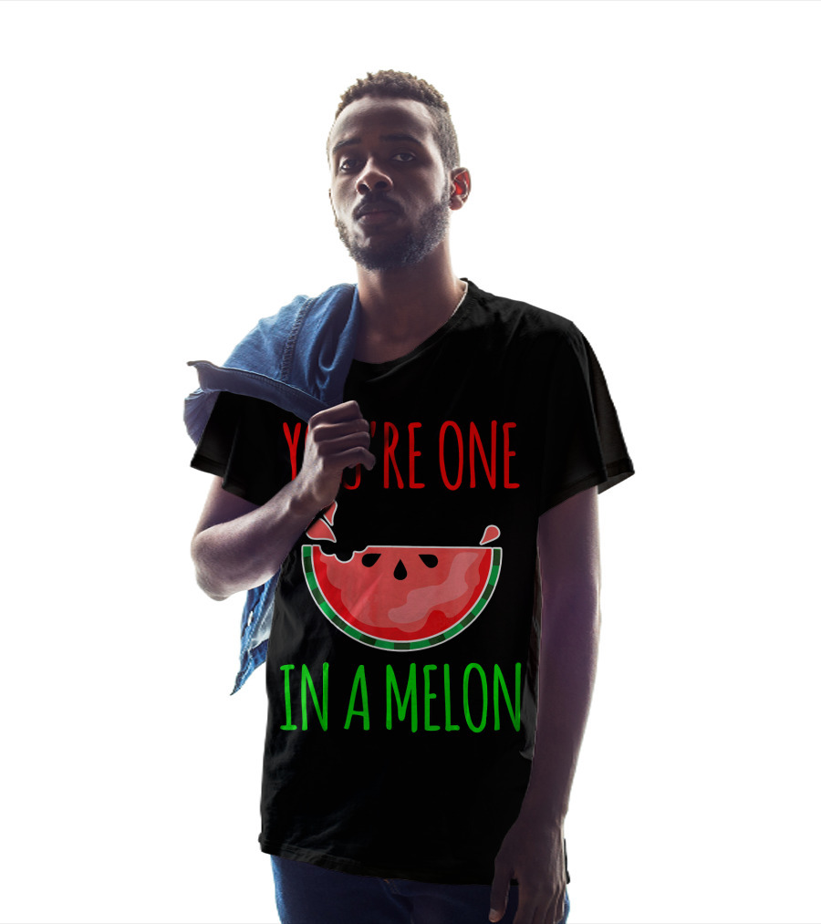 You're One In A Melon Pun Summer Watermelon T-Shirt
